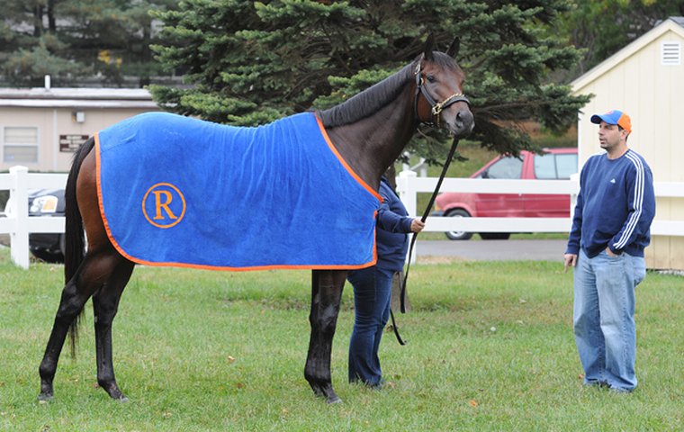 repole stable horses